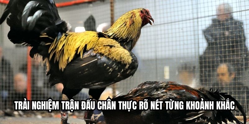 Trải nghiệm trận đấu chân thực rõ nét từng khoảnh khắc